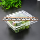 Popular Sale PP Plastic Grapes Tray for Fruit and Vegetable Packaging