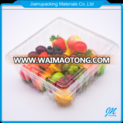 Wholesale clear plastic staorage fruit clamshell packaging container box with holes