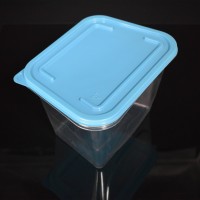 plastic packaging box for food