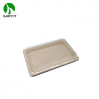 Wholesale Recyclable Eco Sushi Takeaway Delivery Food Packaging Box